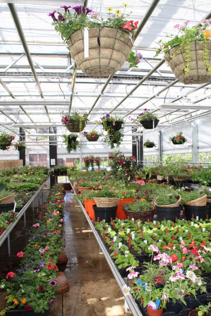 The Derwen College Garden Centre first opened in 1986